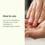 A clear bottle of Plant Therapy Fractionated Coconut Oil, 16 fl oz, with a white label, on a clean background.